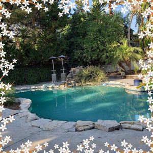 Meet your Posher, Jan